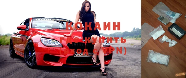 прущие грибы Аркадак