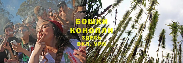 сатива Белоозёрский
