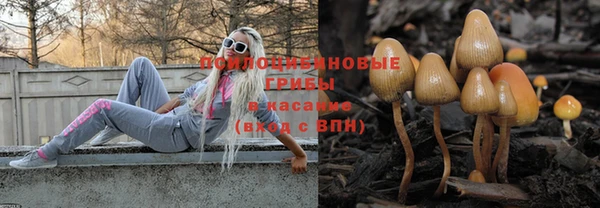 сатива Белоозёрский