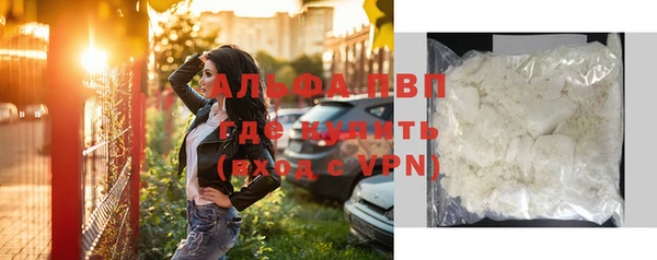 сатива Белоозёрский