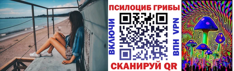 Галлюциногенные грибы Psilocybine cubensis  Купить где  Красный Сулин 